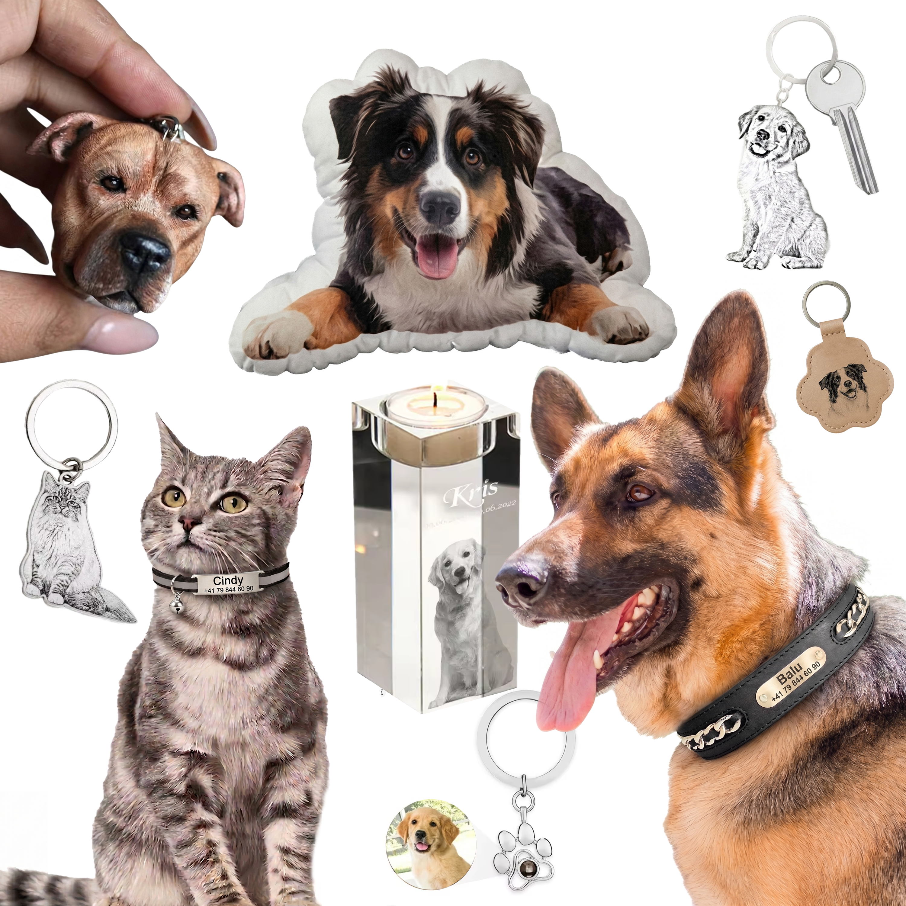 Personalisierte Haustierprodukte & Tierzubehör aus Leder, Edelstahl und Polyester für Hunde und Katzen