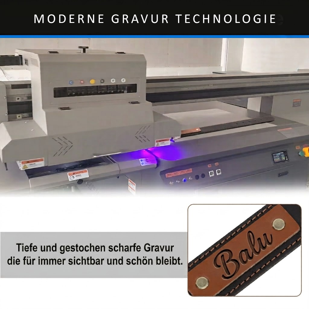 Personalisiertes Leder-Hundehalsband mit tiefer Lasergravur und Namensplakette Balu