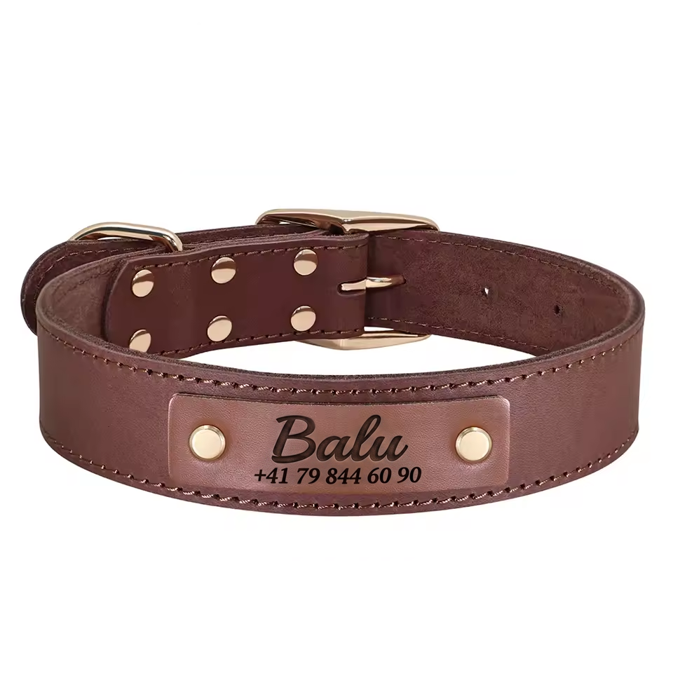 Hundehalsband personalisiert aus Leder mit Namens-Gravur und Telefonnummer in Braun – Customify