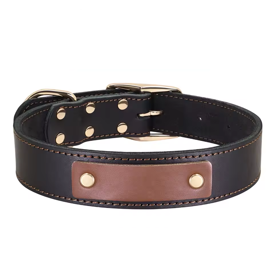 Personalisiertes Hundehalsband aus schwarzem Leder mit Namens-Gravur und Messingschnalle