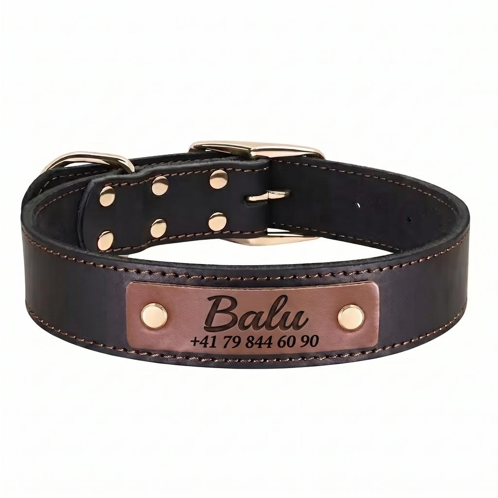 Personalisiertes Hundehalsband aus braunem Leder mit Namens-Gravur und Telefonnummer